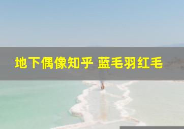 地下偶像知乎 蓝毛羽红毛